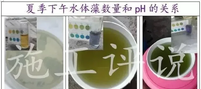 【建议收藏】夏季池塘水质变化和管理的特点