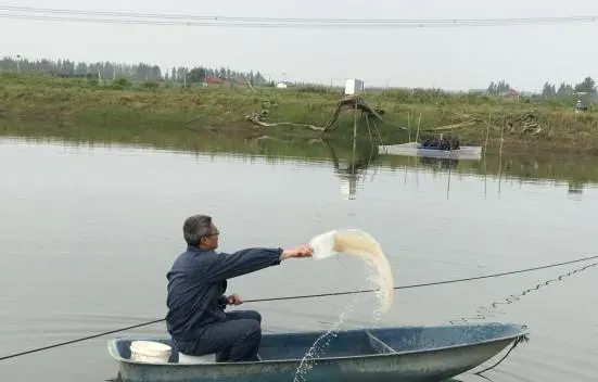 实战派：常规淡水养殖鱼类水花标粗技术要点