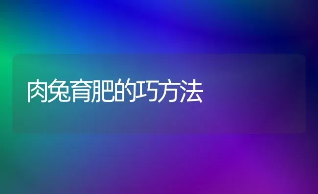 肉兔育肥的巧方法 | 家畜养殖