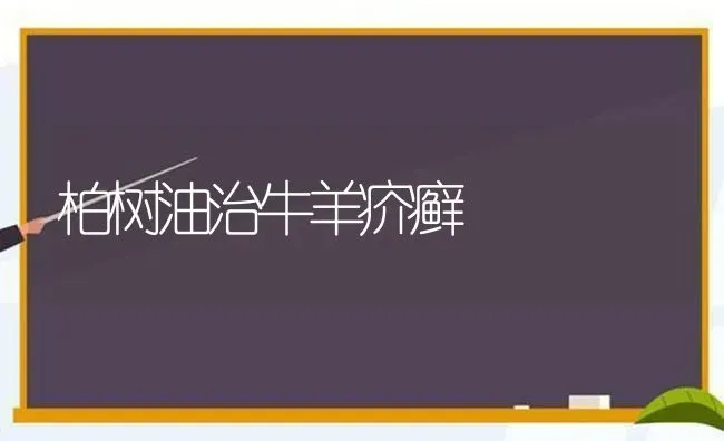 柏树油治牛羊疥癣 | 家畜养殖