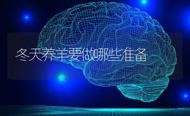 冬天养羊要做哪些准备 | 家畜养殖
