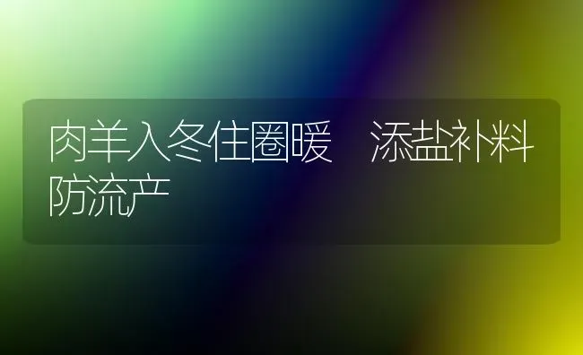 肉羊入冬住圈暖 添盐补料防流产 | 家畜养殖