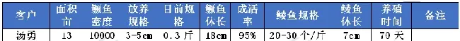 今年超火的鳜鱼，如果想养，你一定要知道这些信息