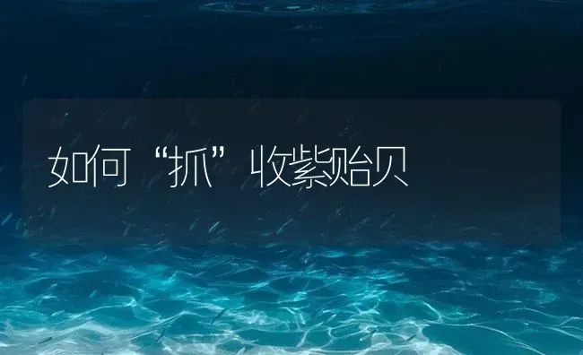 如何“抓”收紫贻贝 | 海水养殖