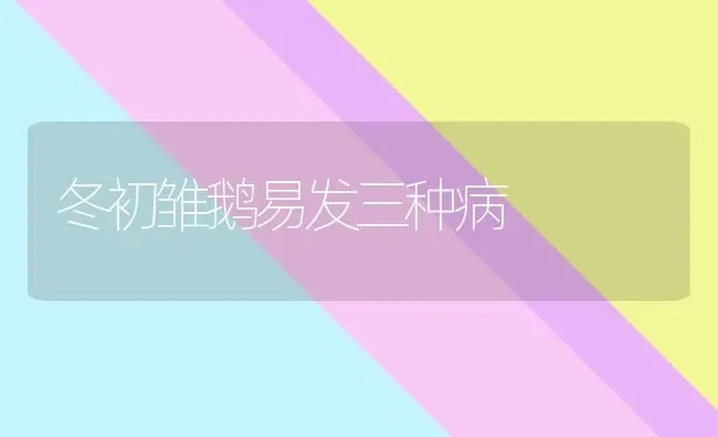 冬初雏鹅易发三种病 | 家禽养殖