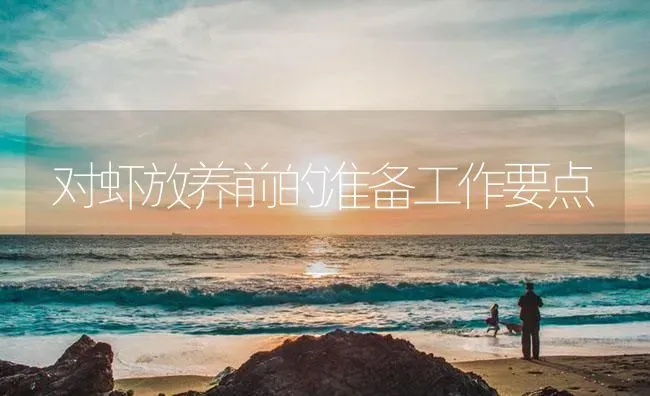 对虾放养前的准备工作要点 | 海水养殖