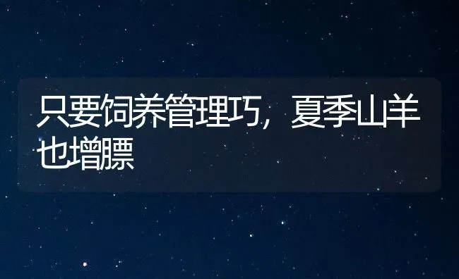 只要饲养管理巧，夏季山羊也增膘 | 家畜养殖