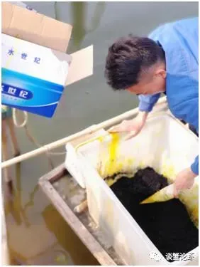 山东微山湖地区顽固性青苔该如何防治
