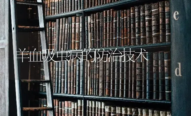羊血吸虫病的防治技术 | 家畜养殖