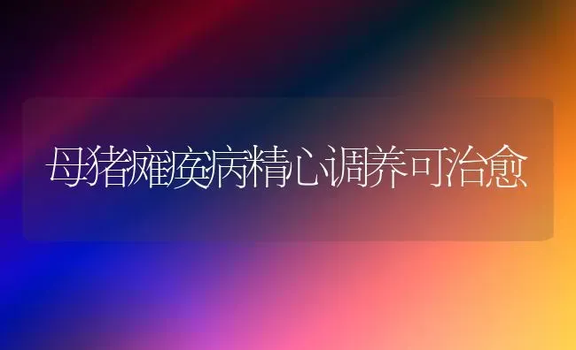 母猪瘫痪病精心调养可治愈 | 家畜养殖