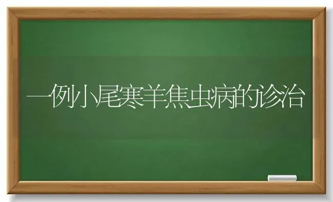 一例小尾寒羊焦虫病的诊治 | 家畜养殖