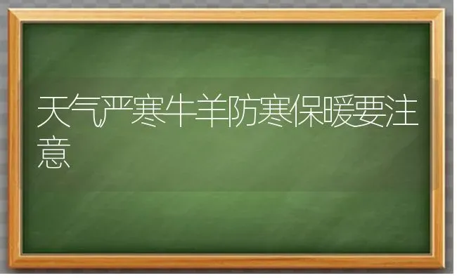 天气严寒牛羊防寒保暖要注意 | 家畜养殖