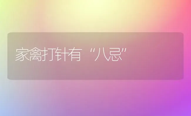 家禽打针有“八忌” | 家禽养殖