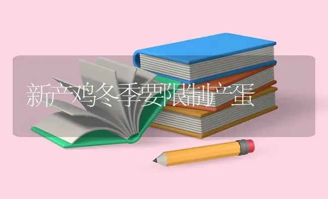 新产鸡冬季要限制产蛋 | 家禽养殖