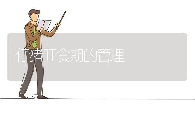 仔猪旺食期的管理 | 家畜养殖