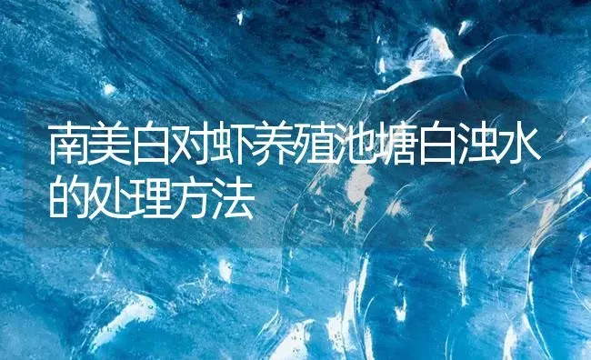 南美白对虾养殖池塘白浊水的处理方法 | 海水养殖