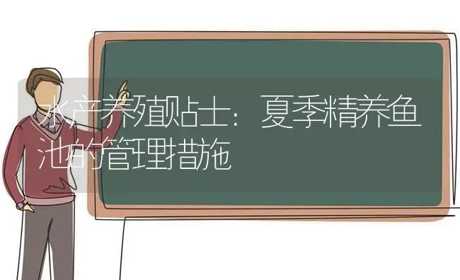 水产养殖贴士：夏季精养鱼池的管理措施 | 动物养殖百科