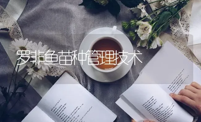 罗非鱼苗种管理技术 | 淡水养殖