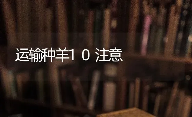 运输种羊10注意 | 家畜养殖