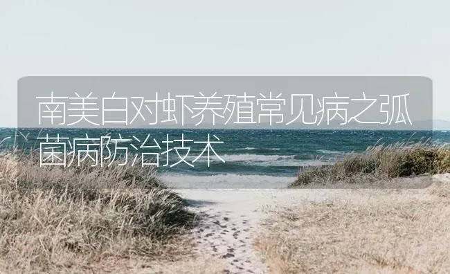 南美白对虾养殖常见病之弧菌病防治技术 | 海水养殖