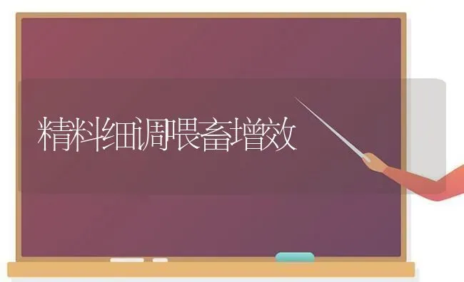 精料细调喂畜增效 | 家畜养殖