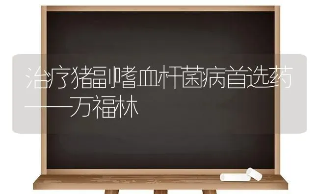 治疗猪副嗜血杆菌病首选药——万福林 | 养殖病虫害防治