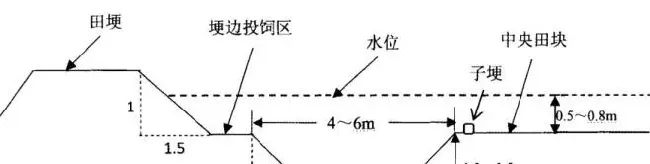 “虾稻共作”之如何做好养殖场地的改建？