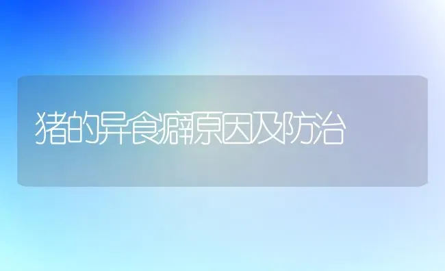 猪的异食癖原因及防治 | 家畜养殖