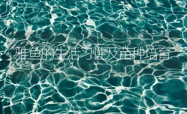 雅鱼的生活习性及苗种培育 | 淡水养殖