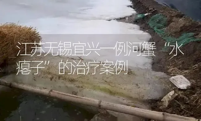 江苏无锡宜兴一例河蟹“水瘪子”的治疗案例 | 淡水养殖