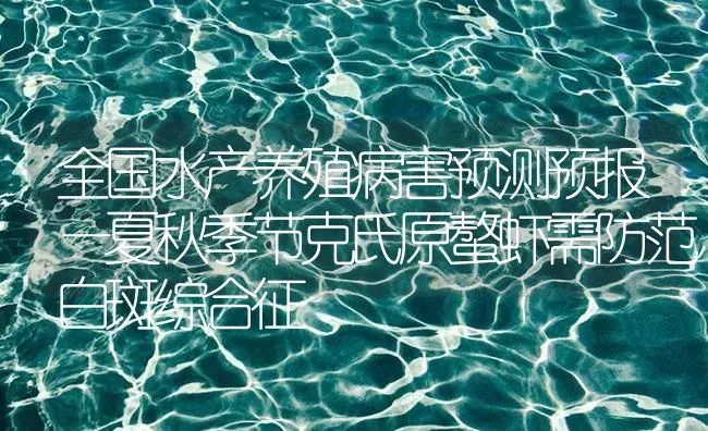 全国水产养殖病害预测预报—夏秋季节克氏原螯虾需防范白斑综合征 | 海水养殖