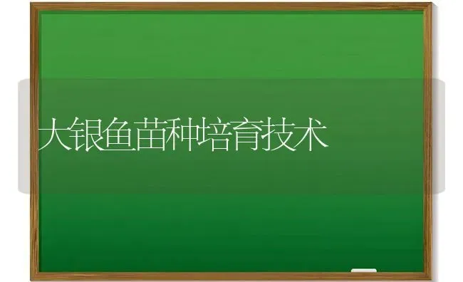 大银鱼苗种培育技术 | 淡水养殖