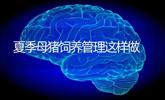 夏季母猪饲养管理这样做 | 家畜养殖