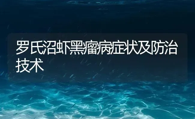 罗氏沼虾黑瘤病症状及防治技术 | 海水养殖