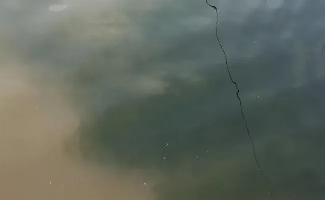最近肥水，你遇到困难了吗？