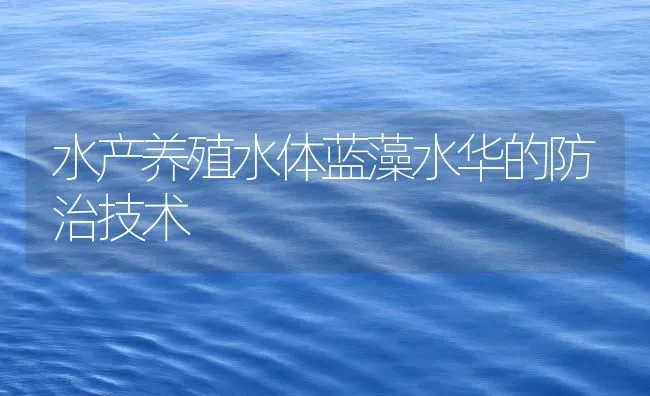 水产养殖水体蓝藻水华的防治技术 | 动物养殖百科