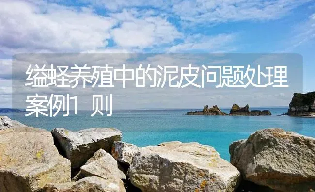 缢蛏养殖中的泥皮问题处理案例1则 | 海水养殖