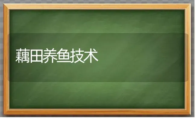 藕田养鱼技术 | 淡水养殖