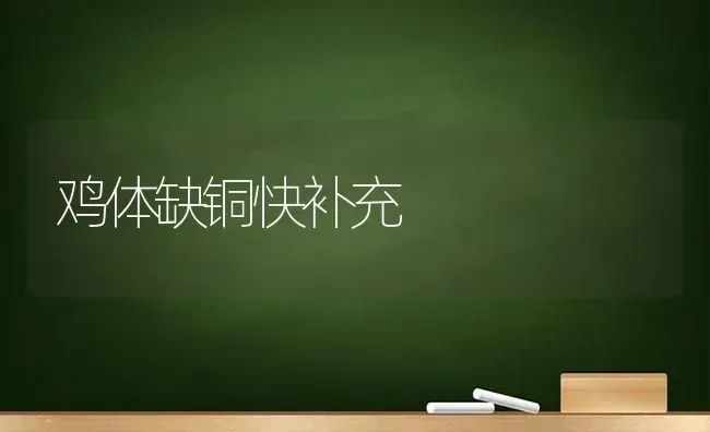鸡体缺铜快补充 | 家禽养殖