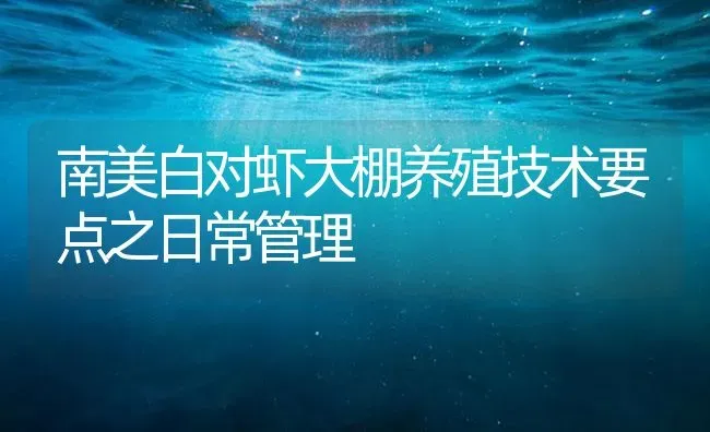 南美白对虾大棚养殖技术要点之日常管理 | 海水养殖