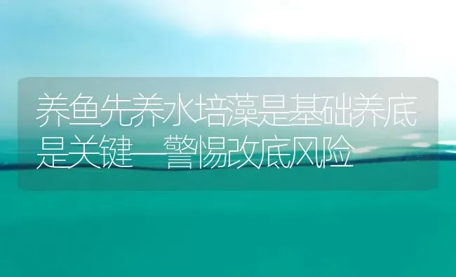 养鱼先养水培藻是基础养底是关键—警惕改底风险 | 动物养殖百科