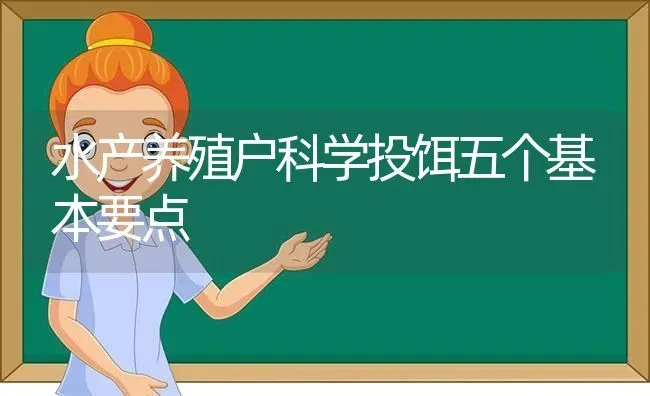 水产养殖户科学投饵五个基本要点 | 动物养殖百科