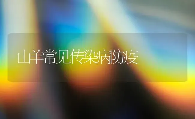 山羊常见传染病防疫 | 家畜养殖