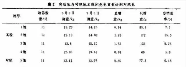 光照对乌龟的生长与产量的重要性