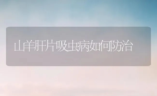 山羊肝片吸虫病如何防治 | 家畜养殖