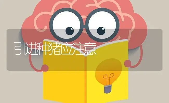 引进种猪应注意 | 家畜养殖