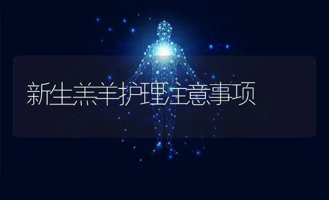 新生羔羊护理注意事项 | 家畜养殖