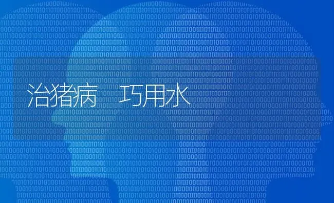 治猪病 巧用水 | 家畜养殖
