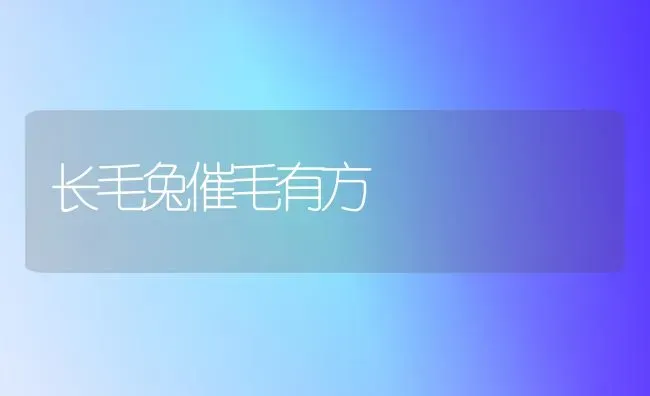 长毛兔催毛有方 | 家畜养殖