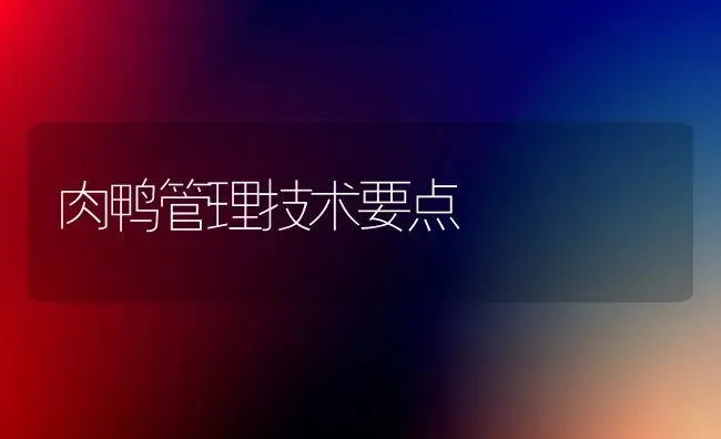 肉鸭管理技术要点 | 家禽养殖